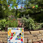 Leerlingen en ouderen ronden succesvol adoptiegrond-project af in het LeRoy-gebied