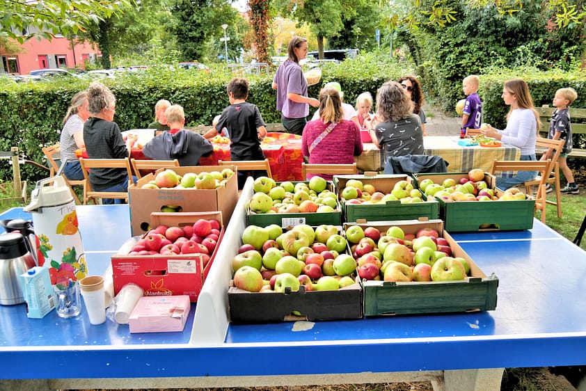 Drieland viert oogstfeest
